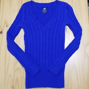AEO Royal Blue Sweater